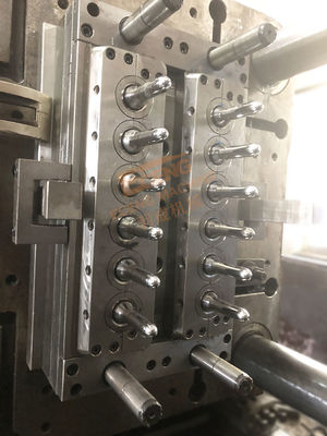 Edelstahl 4Cr13 HAUSTIER Plastikhohlraum der einspritzungs-Vorformlings-Form-12