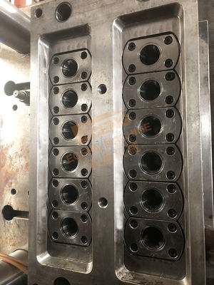 Edelstahl 4Cr13 HAUSTIER Plastikhohlraum der einspritzungs-Vorformlings-Form-12