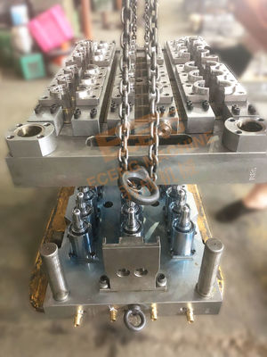 Hohlraum Eceng 18 HAUSTIER Plastikspritzen der Flaschen-Form-S136